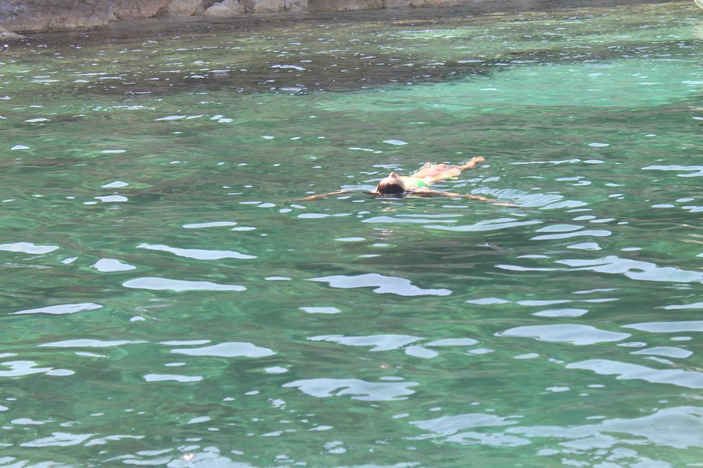 阿尔盖罗海藻客房旅馆住宿加早餐旅馆 外观 照片