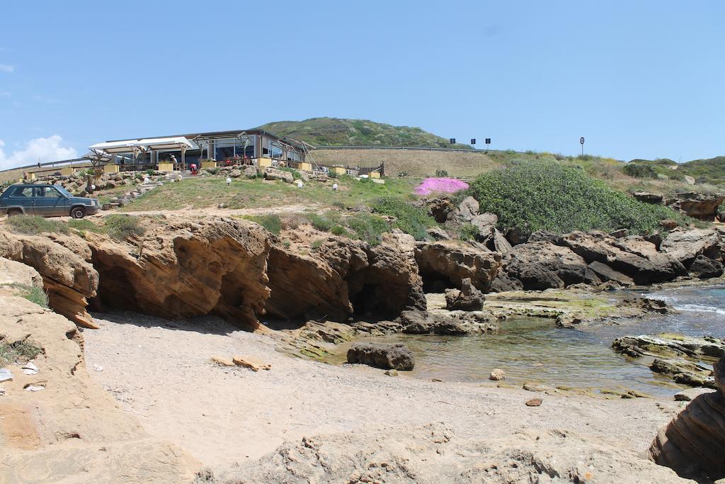 阿尔盖罗海藻客房旅馆住宿加早餐旅馆 外观 照片
